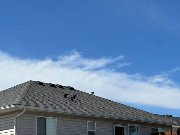 Best Gutter Replacement  in Kenvil, NJ